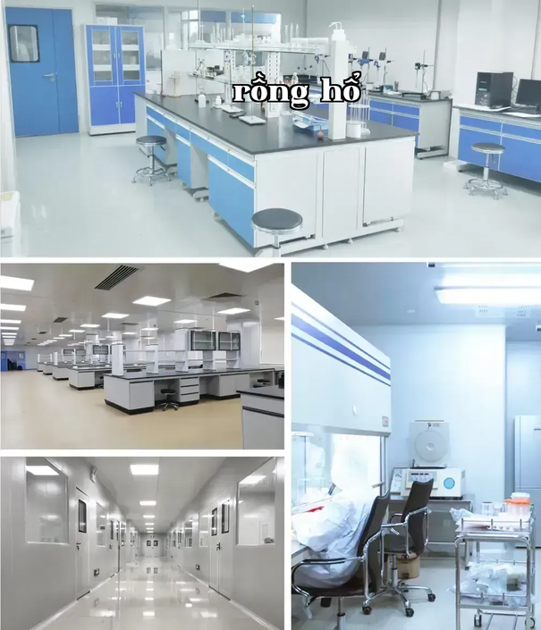 Giải pháp tổng thể