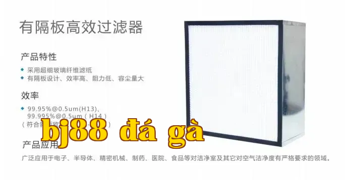 Bộ lọc hiệu suất cao có tấm ngăn