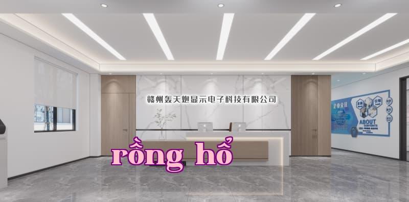 Công ty TNHH Điện Tử Hiển Thị Hồng Thiên Báo (Cửu Châu)