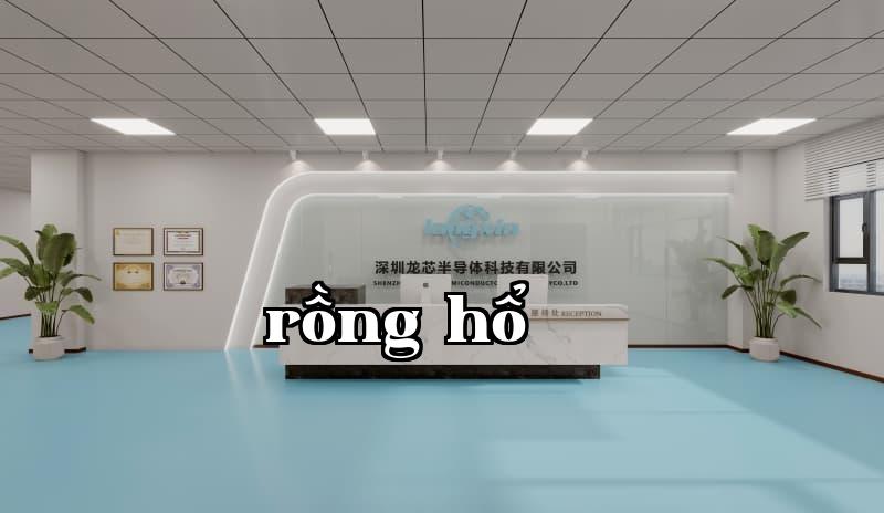Công ty Công nghệ Bán dẫn Long Tinh Thâm Quyến