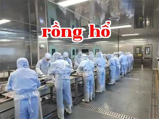 Công ty TNHH Thiết bị Y tế Fulingte (Trường Sa)